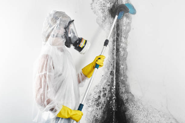 Best Industrial Mold Remediation  in Costa Mesa, CA