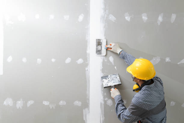 Best Emergency Mold Remediation  in Costa Mesa, CA